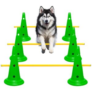 Agility Cones Set