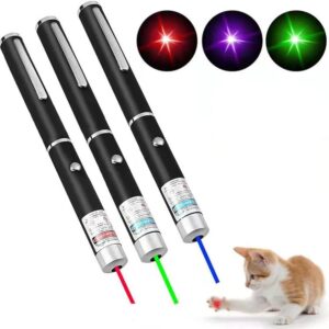 Laser Play Pen
