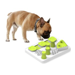 Interactive Treat Puzzle