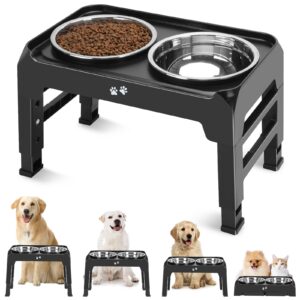 Elevated Feeder Stand