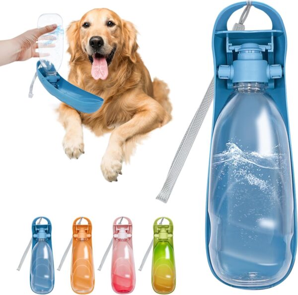 Travel Water Bottle