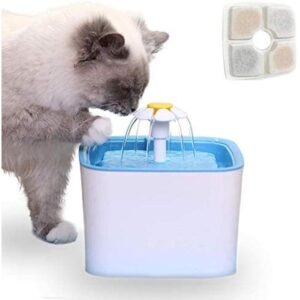 Automatic Water Fountain