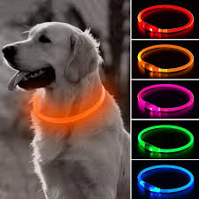 LED Safety Collar