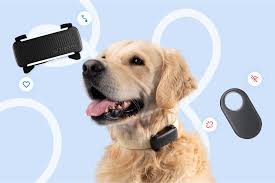 Smart Tag (BLE)