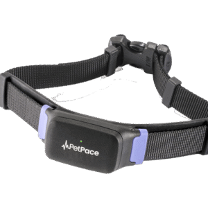 pet Activity Tracker Band
