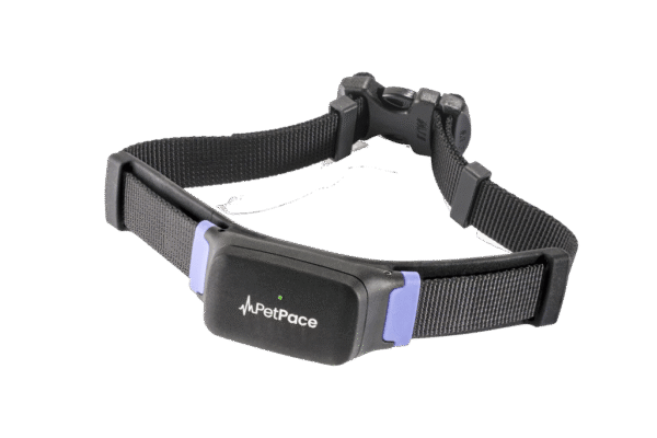 pet Activity Tracker Band
